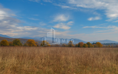 For Sale Land Gremi Kvareli Kakheti