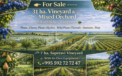 Продается Дом Вилла Норио Гардабани Квемо Картли