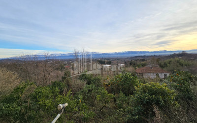 იყიდება ძველი აშენებული სახლი - აგარაკი ზემო ნატანებში, ოზურგეთი