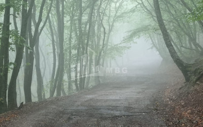 Продается Дом - Вилла В Коджори, Мтацминда Район