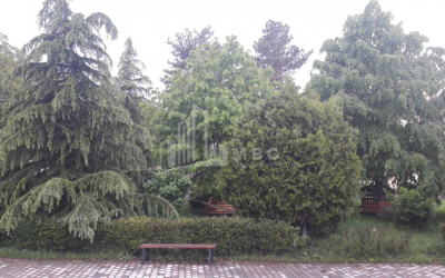 For Sale Residential Land, in Tabakhmela