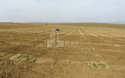 For Sale Land, Kaspi Municipality, Municipalities of Shida Kartli