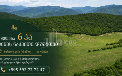 Продается Дачные Земля В Базалети, Душети