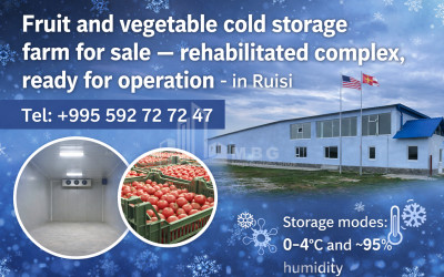 For Sale Refrigerator-freezer area Commercial In Ruisi, Kareli