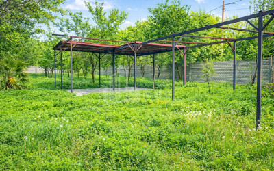 Business for sale Commercial Telavi Kakheti