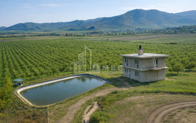 For Sale Land Bolnisi Kvemo Kartli