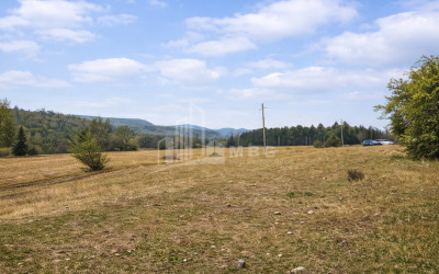 Продается Старое здание Дом - Вилла В Шалаури, Телави