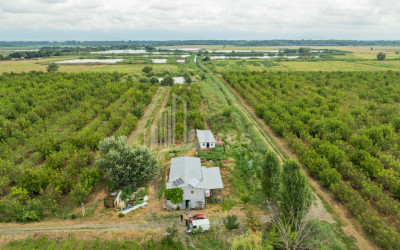 For Sale Land Kakheti