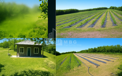 For Sale Land Khobi Samegrelo