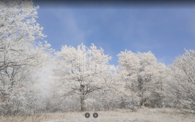 იყიდება სახნავ - სათესი მიწის ნაკვეთი, ზემო გოსტიბე