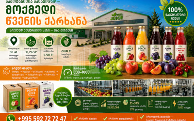 For Sale Factory Commercial In Shida Kartli