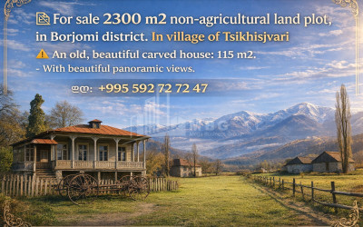 Продается Дачные Земля В Цихисджвари, Боржоми