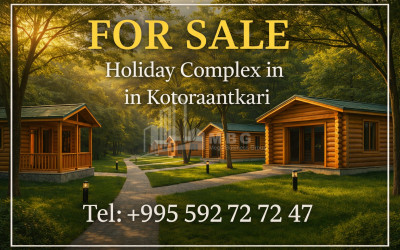 იყიდება მიწის ნაკვეთი ნოსირი სენაკი სამეგრელო   ზემო სვანეთი