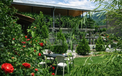 For Sale Commercial Kvareli Kakheti