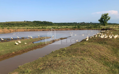 For Sale Land Khoni Imereti
