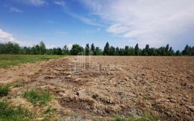 For Sale Land, Gori Municipality, Municipalities of Shida Kartli