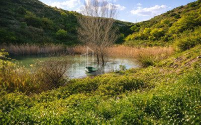 Продается Озеро - Рыболовное хозяйство Земля В Деревния Гачиани, Гардабани