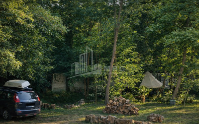 Business for sale Commercial Telavi Kakheti