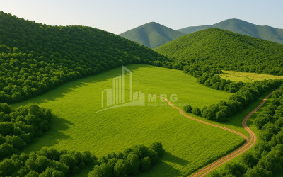 Продается Земля Ахалсопели Кварели Кахети