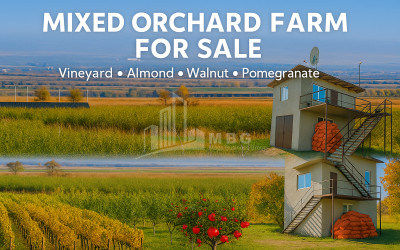 იყიდება მიწის ნაკვეთი სოფელი შაუმიანი მარნეული ქვემო ქართლი