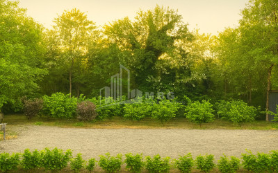 იყიდება ბიზნესი კომერციული ფართი თელავი კახეთი