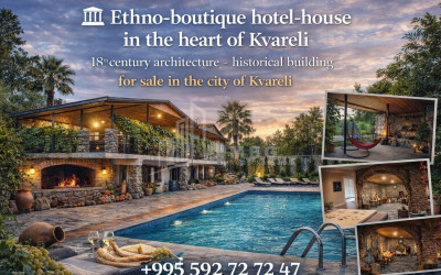 For-Sale-Commercial-Kvareli-Kakheti