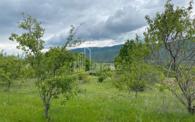 For Sale Country Land In Lamiskana, Kaspi