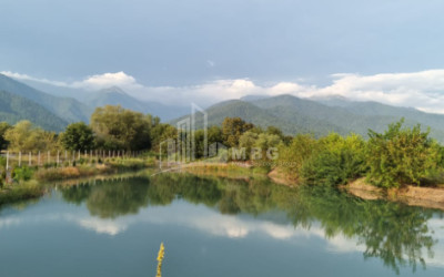 იყიდება მიწის ნაკვეთი ნაფარეული თელავი კახეთი