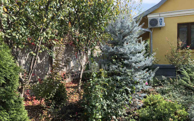 For Sale House - Villa, in Aragvispiri