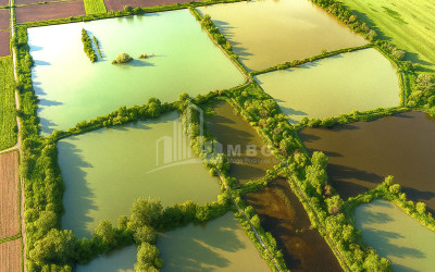 For Sale Land Kvemo Alvani Akhmeta Kakheti