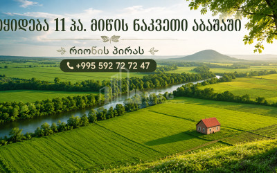 For Sale Orchards Land In Abasha