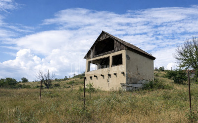 For Sale Country Land In Iltosa village, Dusheti