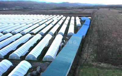 For Sale Land Vani Imereti