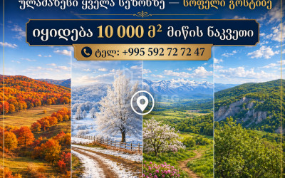 იყიდება სააგარაკე მიწის ნაკვეთი ზემო გოსტიბეში, კასპი