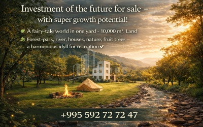 Business/Investment for Sale Leisure _ Entertainment complex Commercial In Telavi