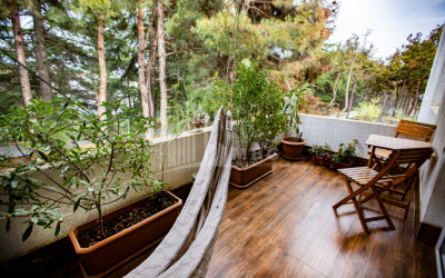 For Sale House - Villa, in Okrokana