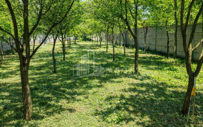 Business for sale Commercial Telavi Kakheti