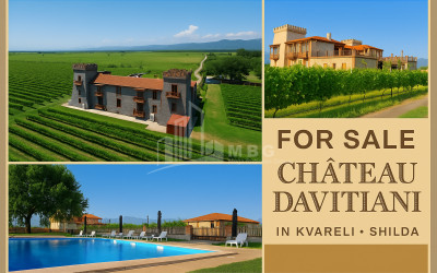 For Sale Commercial Kvareli City Kvareli Kakheti
