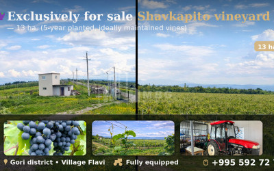 For Sale Vineyard - Chateau Land In Gori