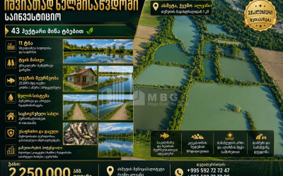 იყიდება ტბა - სათევზე მეურნეობა მიწის ნაკვეთი ქვემო ალვანში, ახმეტა