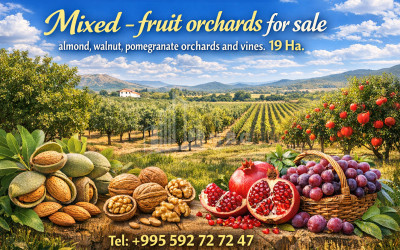 For Sale House Villa Kvibisi Borjomi Samtskhe   Javakheti