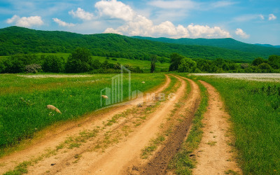 Продается Земля Гомбори Сагареджо Кахети
