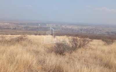 For Sale Land Samtatskaro Dedoplistskaro Kakheti