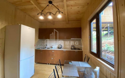 Daily Rent House - Villa, in Bakhmaro