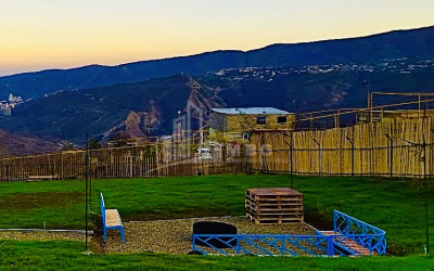 For Sale House - Villa, in Napetvrebi