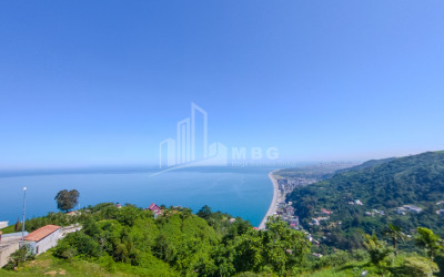 იყიდება კომერციული - არასასოფლო მიწის ნაკვეთი სარფში, ხელვაჩაური