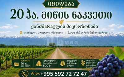 For Sale Vineyard - Chateau Land In Eniseli, Kvareli