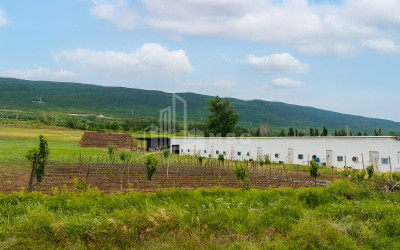 For Sale Commercial Okami Kaspi Shida Kartli