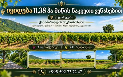 For Sale Vineyard - Chateau Land In Kvareli
