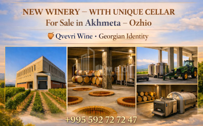 იყიდება შატო / ღვინის ქარხანა / მარანი კომერციული ფართი ოჟიოში, ახმეტა